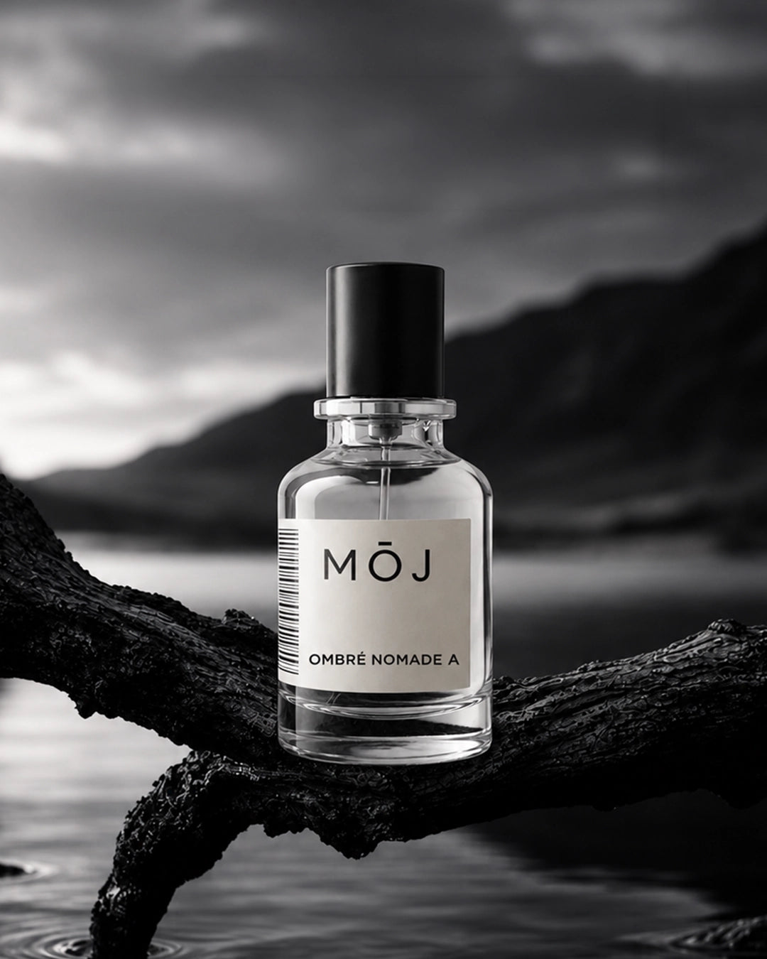 Ombre Nomade A – Inspired by LVEE