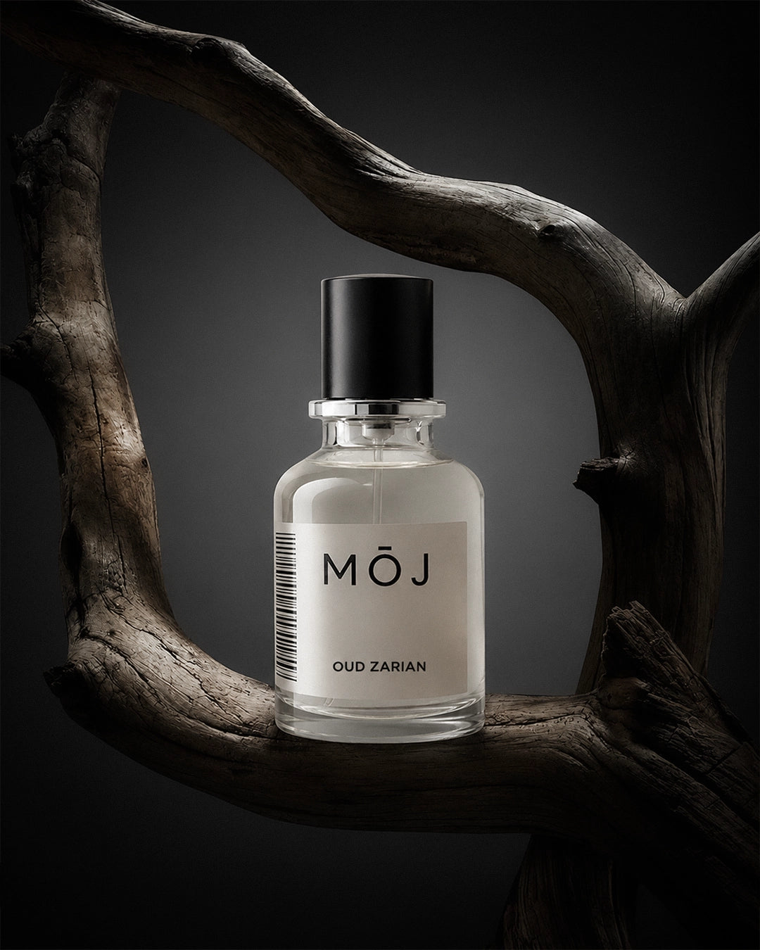 Oud Zarian Inspired by Creed Oud Zarian