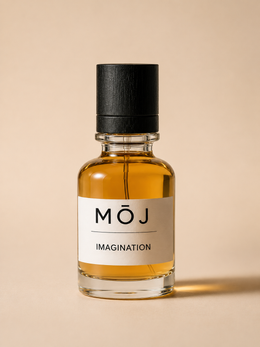 Imagination – Inspired by LVEE