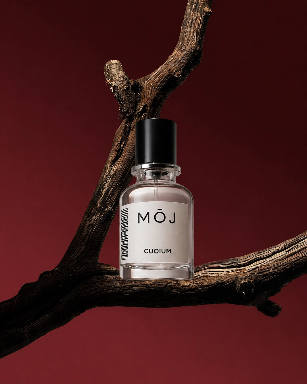 Cuoium - Inspired by Orto Parisi